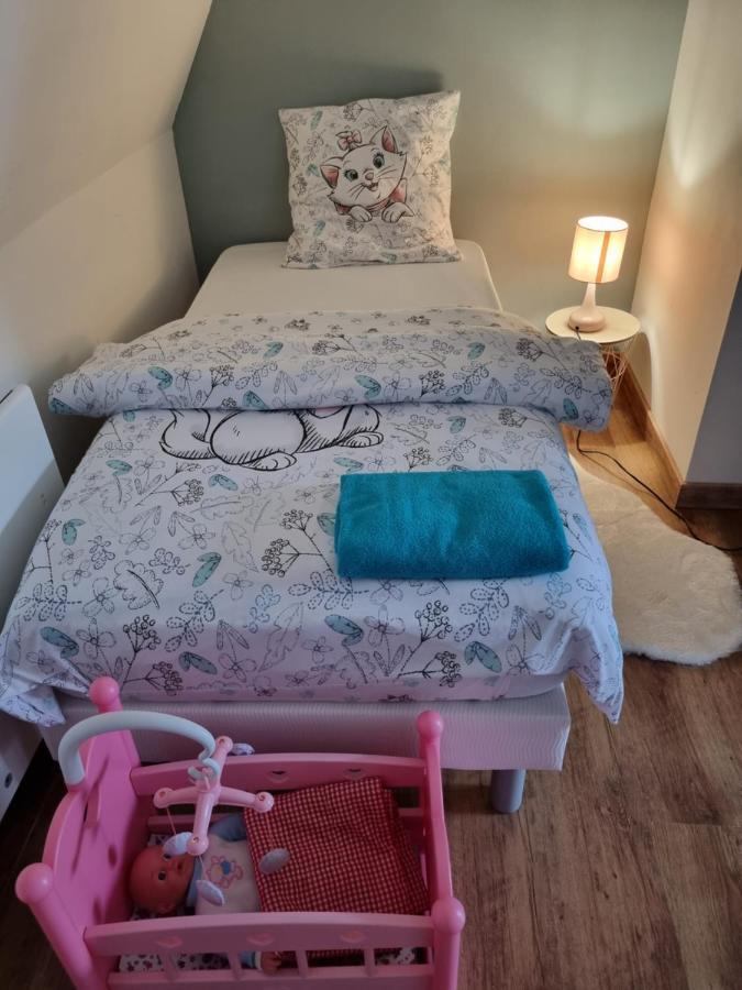 Saint-Martin-au-LaertDuplex Ideal Famille, 2 Mn De St-Omer Centreアパートメント エクステリア 写真